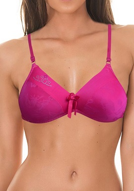 Women's Cool Magenta Everyday Bra