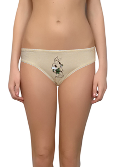 Disney Comfy Lady's Normal Wear Brief Pk Of 2