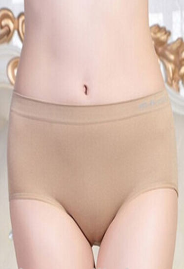 Bpc  Comfort Revolution Plus Size Briefs(Pk Of 6)