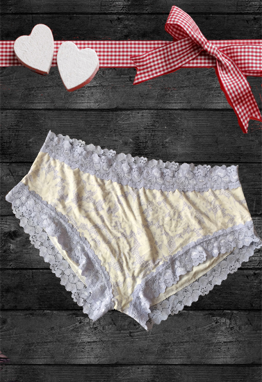 Jockey Parisienne Lace Boyleg Brief Panty