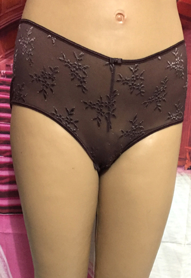 M&S Brown Lace Spring Hot High Rise Panty + 1 Free Bra
