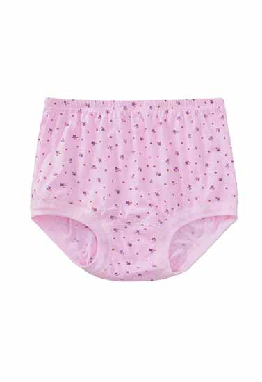 Harmony's Baby Pink Floral Printed Plus Size Hipster Panty