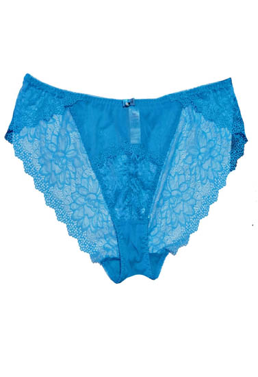 Sky Blue Floral Lace Bridal Hipster Panty