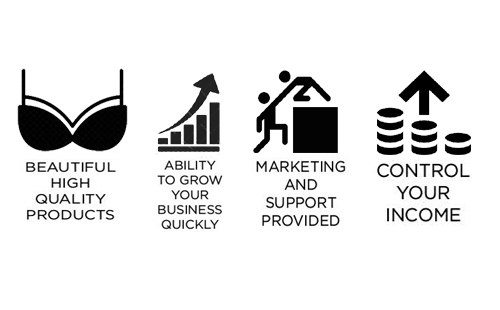 Ladies undergarment business opportunities India snazzyway