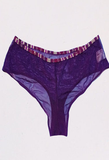 Intimissi Full Lace Transparent Seductive Panty