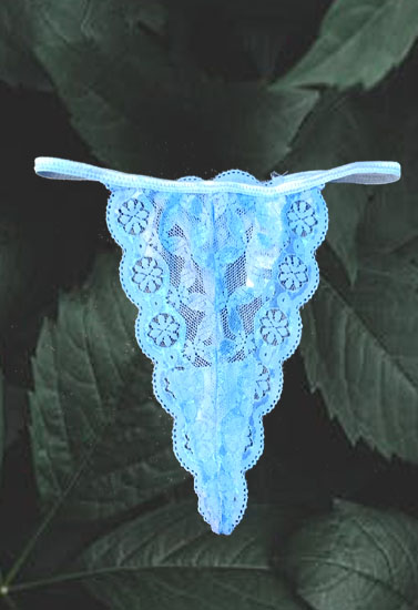 Apple Lane Peachy Blue Scalloped Lace G-String(Sold Out)