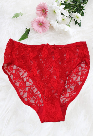 Snazzy Flirty Red Net High Waist Panty(sold out)