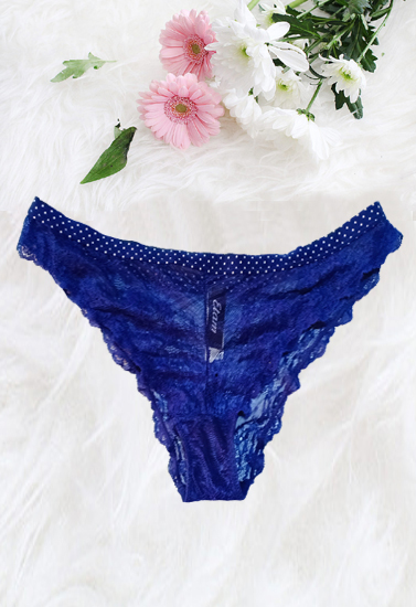Etam Romantic Navy Blue Lace Hipster Panty(sold out)