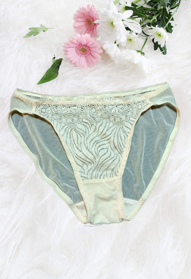 Snazzy High Leg Cream Lace Mesh Panty(Sold Out)