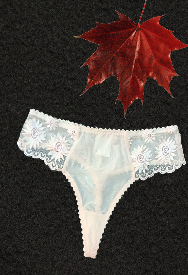 Very Sexy Floral Embroidery Lace Trim Thong (Sold Out)
