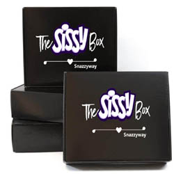Release your inner slut sissy lingerie box
