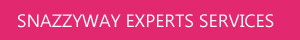 Expert Services