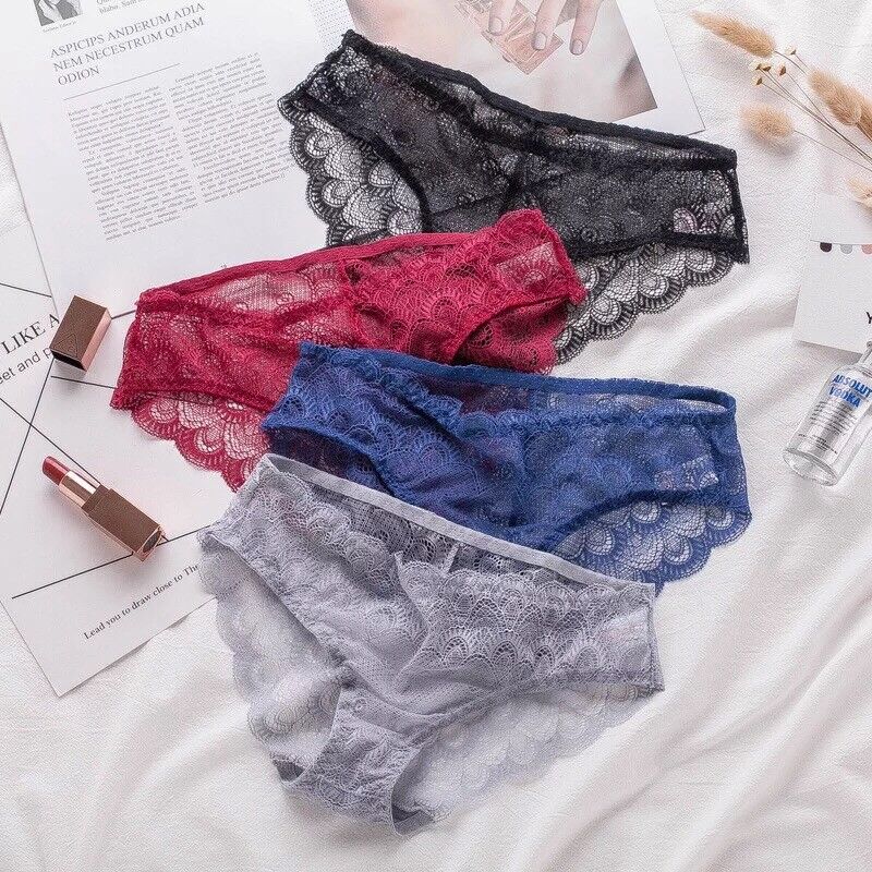 Sexy Sheer Lace Bikini Brief Undies Pack