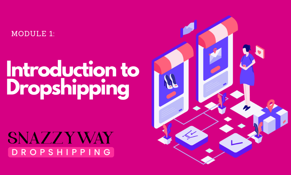 Introduction to Dropshipping Snazzyway Course