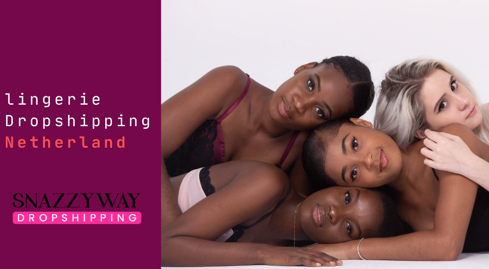 Best Dropshipping Company in Netherland