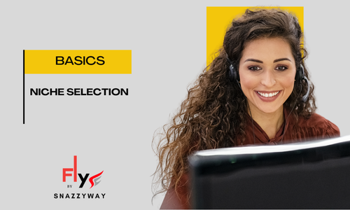 Niche Selection - Dropshipping Talk Snazzyway