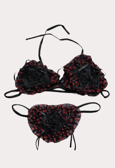 Midnight Romance Red Heart Mesh Lingerie Set with Rose Detail