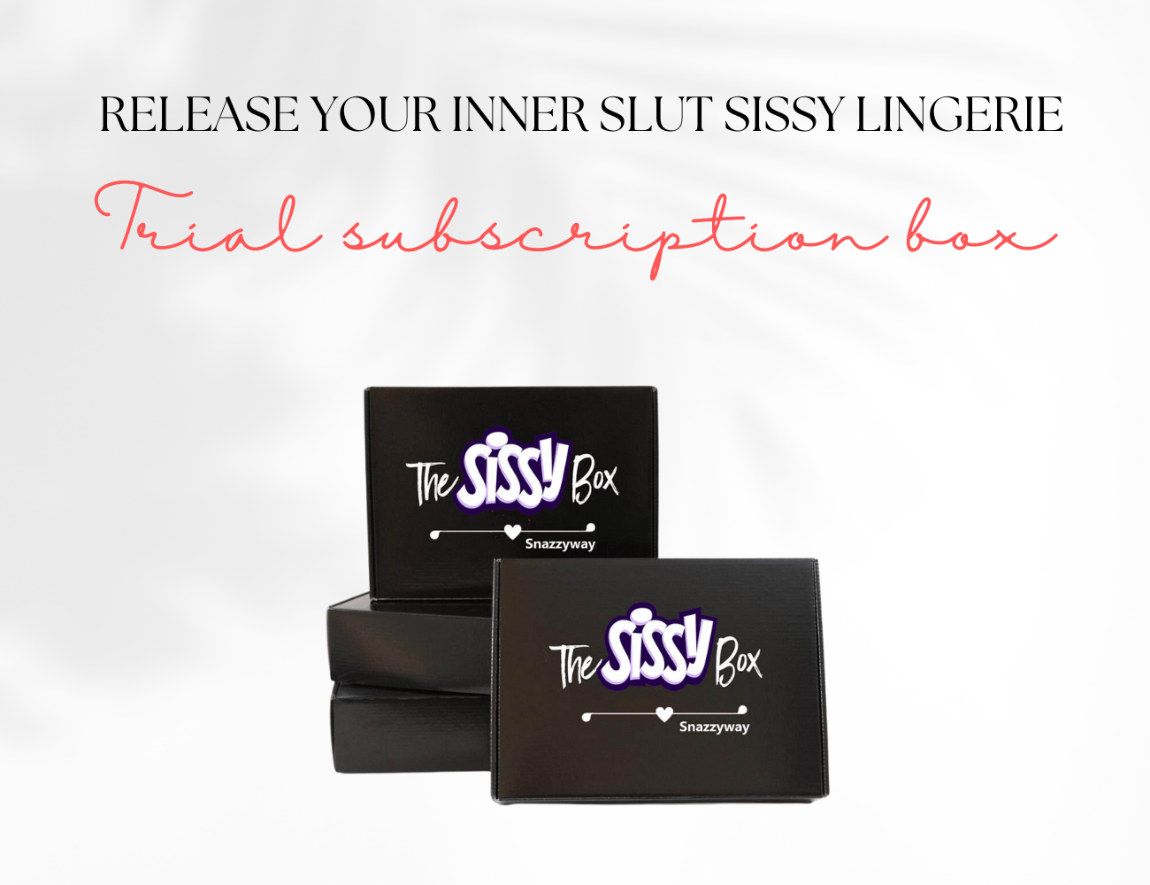 ♥Release your inner slut sissy lingerie box