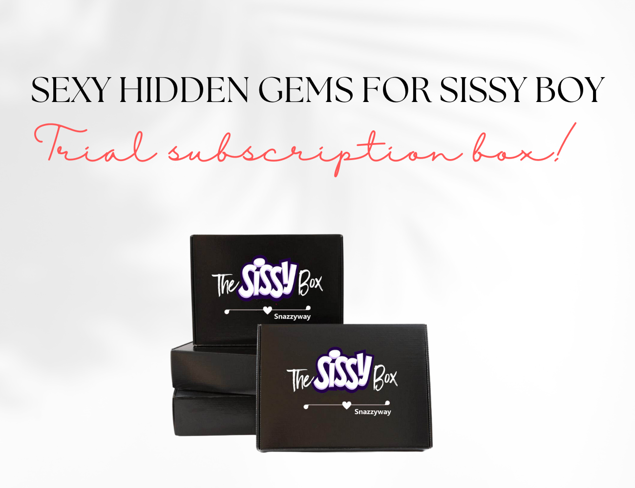 Sexy hidden gems for sissy boy box includes (1)