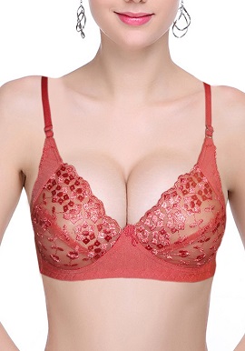 Women's Embriodered Cup Wirefree Everyday Bra
