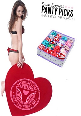 Sexy Valentine's Day Gift - All Style Panties Bunch