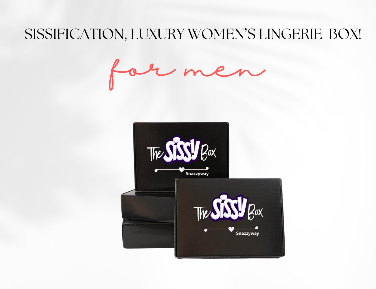 Sissification, Luxury Women’s lingerie for men box!
