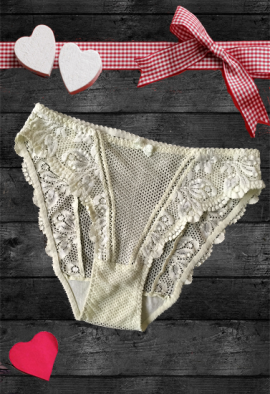 Sexy Full Lace High-Crotch Transparent Floral Bow Soft Brief