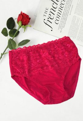 Snazzyway Popular Pink Breathable High Waist Panty