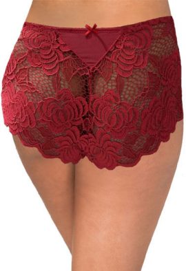 RougeGorge Hot Floral Embroidery Style Hipster Panty