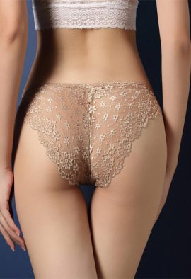 Ladies Best Transparent Lace Hipster Brief Pk Of 2