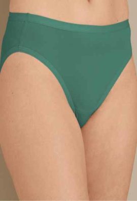 Bpc Refresh Green Hipster Plus Size Panty