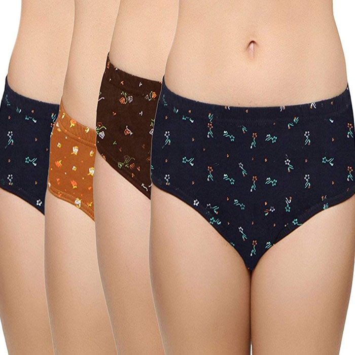 Hanes Women's Cotton Brief Panties 4 Pack()