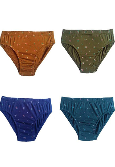 Hanes Women's Cotton Brief Panties 4 Pack(Snazzyway.com)