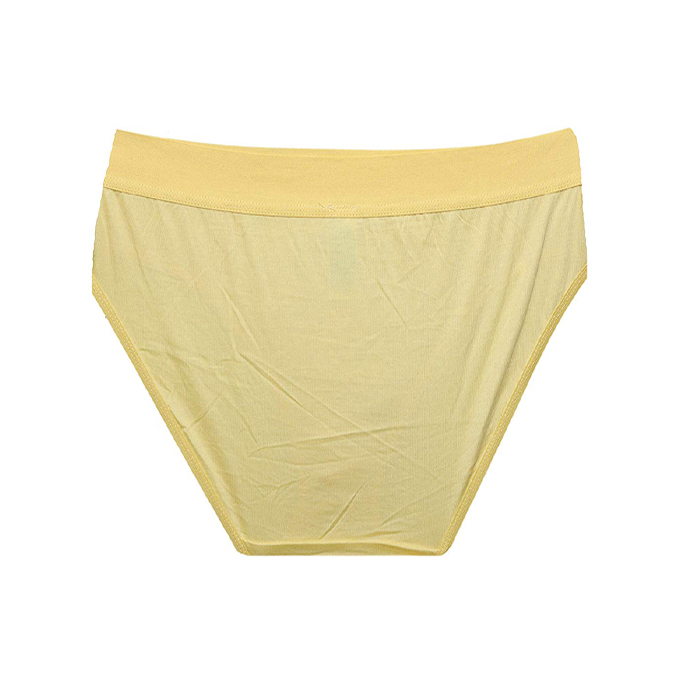 Ultimate Comfort Cotton Hi Cut Women Panties Pack Of 3 