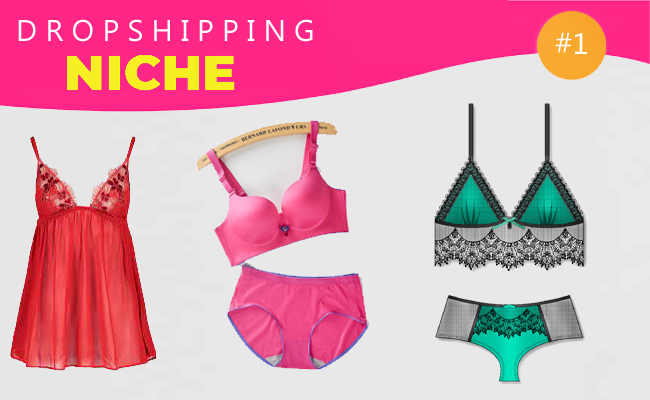 Lingerie dropshipping business idea Snazzyway