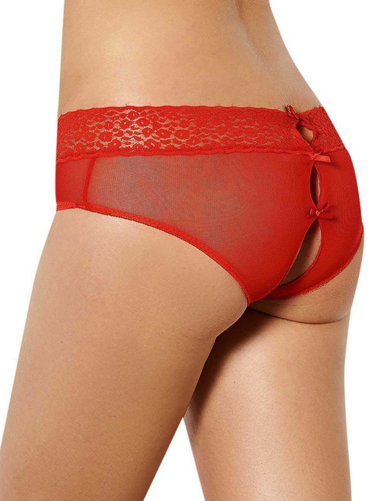 See Through Open Back Panties Hot Crotchless Panty